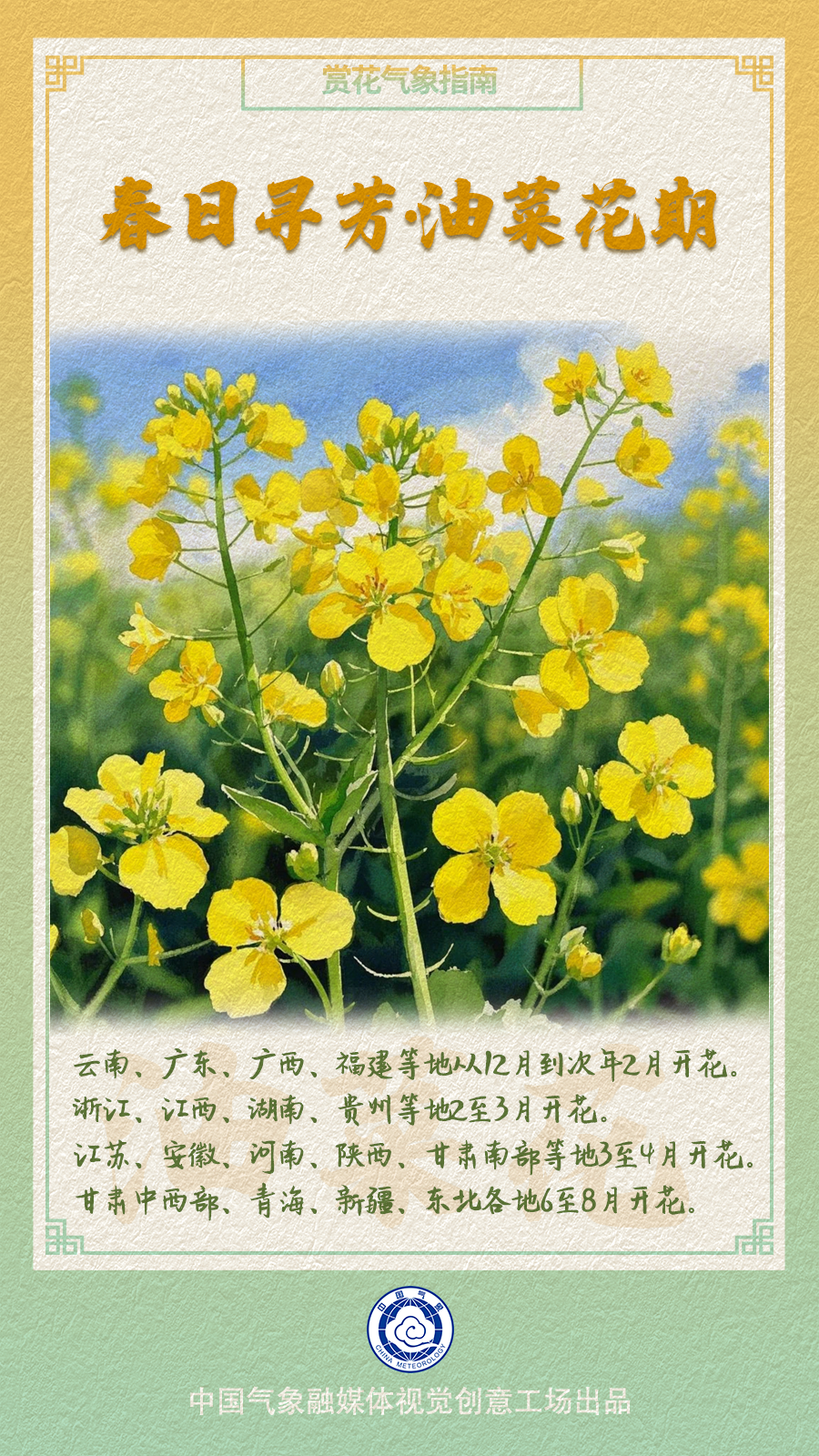 油菜花哪里赏？快收下这份油菜花赏花气象指南！(图4)