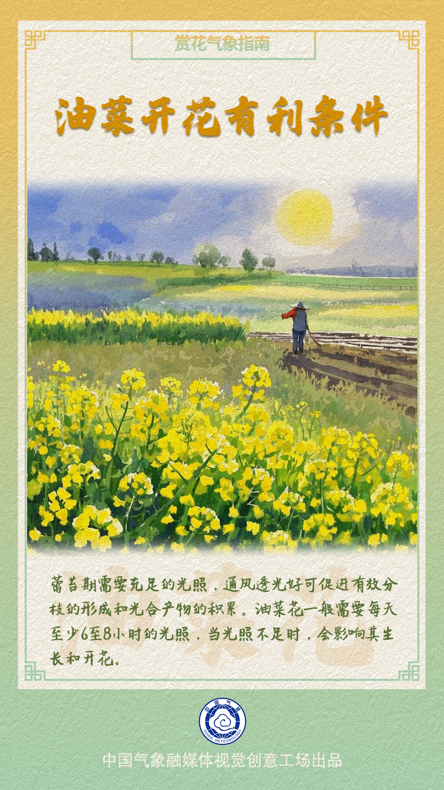 油菜花哪里赏？快收下这份油菜花赏花气象指南！(图6)