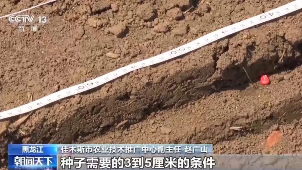 AI大模型助力粮食生产 我国夏粮进入产量形成关键期(图3)