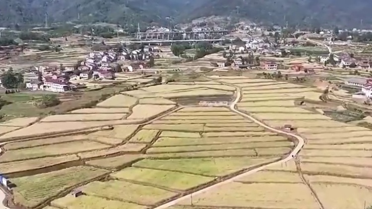 【在希望的田野上·三夏时节】各地抢抓夏收夏种 夯实粮食丰收基础(图1)
