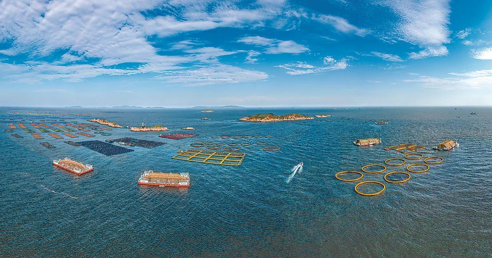 以高质量海洋产业集群 赋能“海上福建”高水平发展(图2)