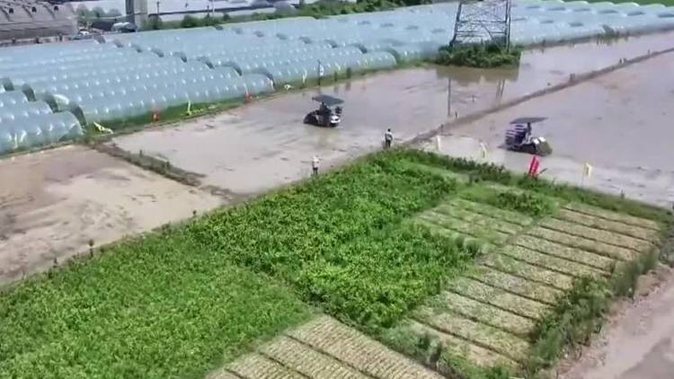 【在希望的田野上·三夏时节】全国已夏播粮食2.7亿亩 进度过半(图1)