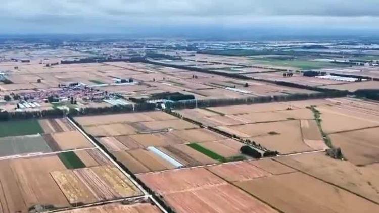 【在希望的田野上·三夏时节】科技赋能 各地夏收夏种高效推进(图1)
