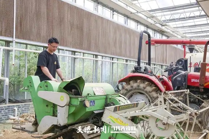 博士种草莓 高管养肉牛！贵州“新农人”将现代科技引入传统农业(图2)