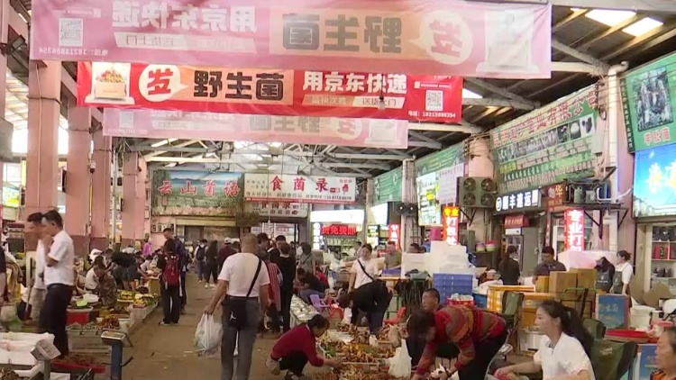 保护生态 科技支撑 做强市场 云南推动食用菌产业高质量发展(图1)