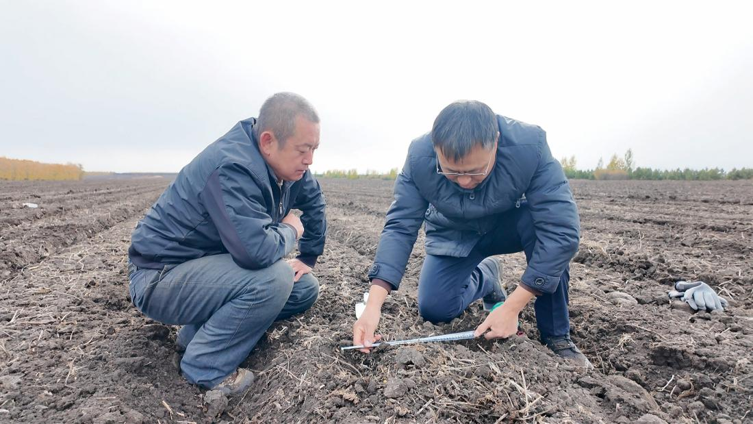 【习声回响】科技兴农 将饭碗牢牢端在自己手里(图4) 【习声回响】科技兴农 将饭碗牢牢端在自己手里(图4)