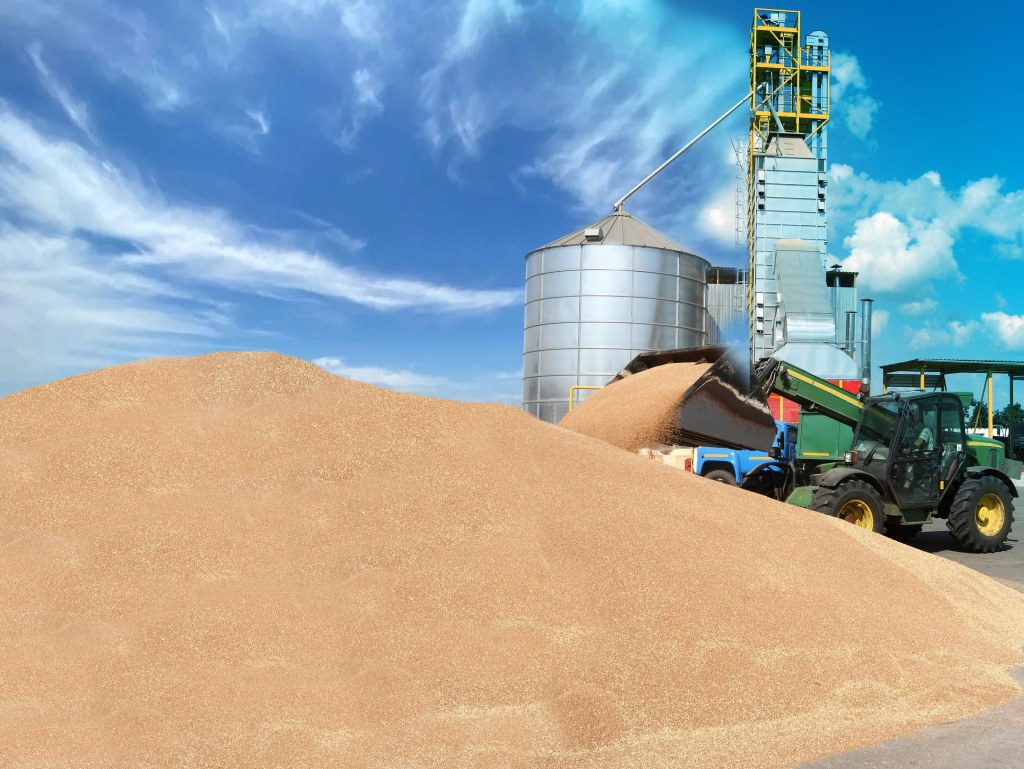 央地协作 同题共答 牢牢守住“农民种粮卖得出”底线(图1) 央地协作 同题共答 牢牢守住“农民种粮卖得出”底线(图1)