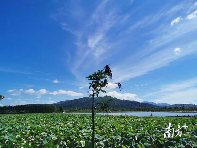 重塑乡村价值,广东农文旅融合这样干(图3) 重塑乡村价值,广东农文旅融合这样干(图3)