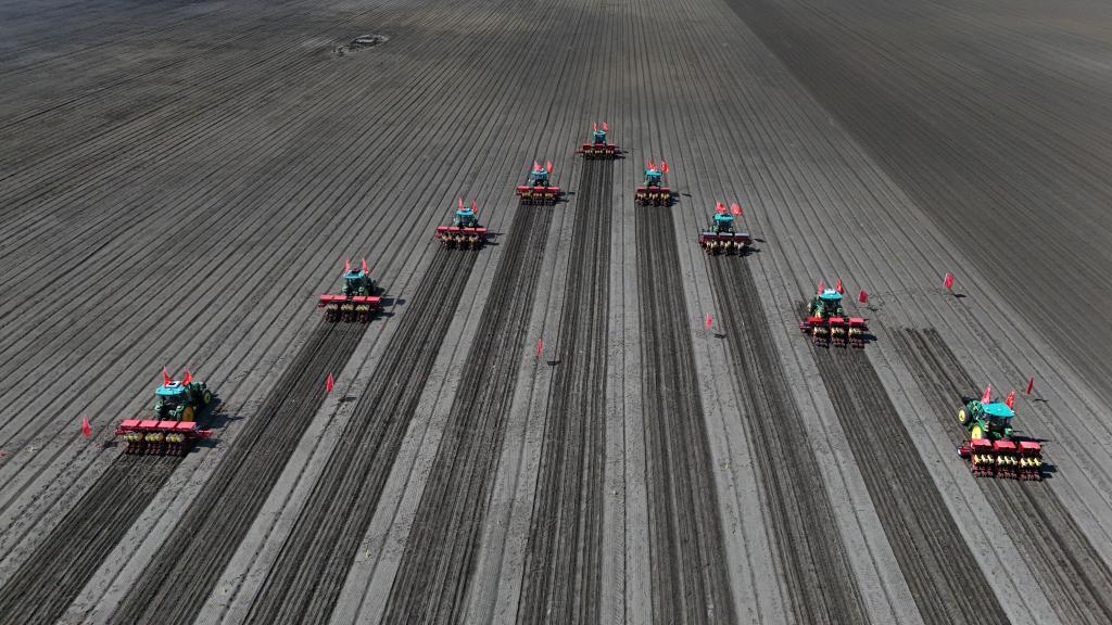 守好粮食生产的命根子!我国拟立法加强耕地保护和质量提升(图1) 守好粮食生产的命根子!我国拟立法加强耕地保护和质量提升(图1)