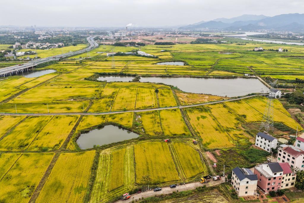 守好粮食生产的命根子!我国拟立法加强耕地保护和质量提升(图2) 守好粮食生产的命根子!我国拟立法加强耕地保护和质量提升(图2)
