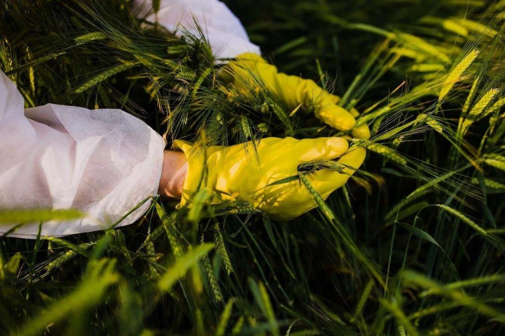 斩断田间窃密黑手！间谍在我国搜集农作物基因数据(图1)