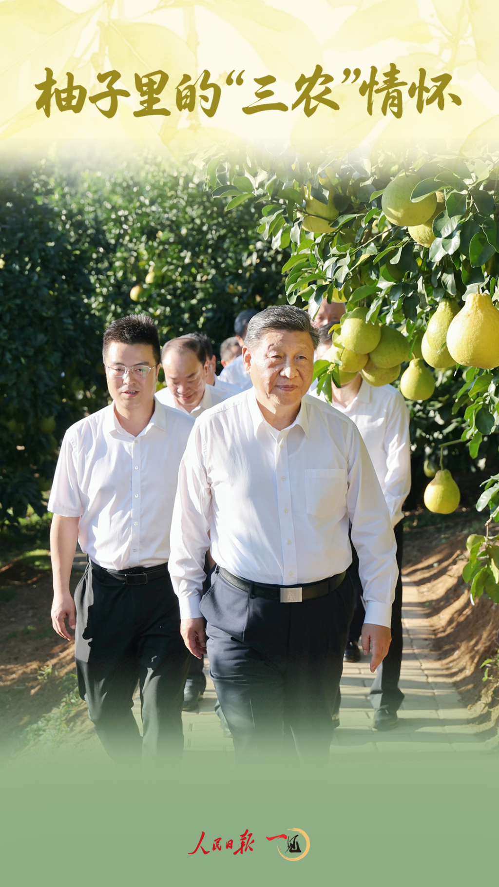 一见·柚子里的“三农”情怀(图1)