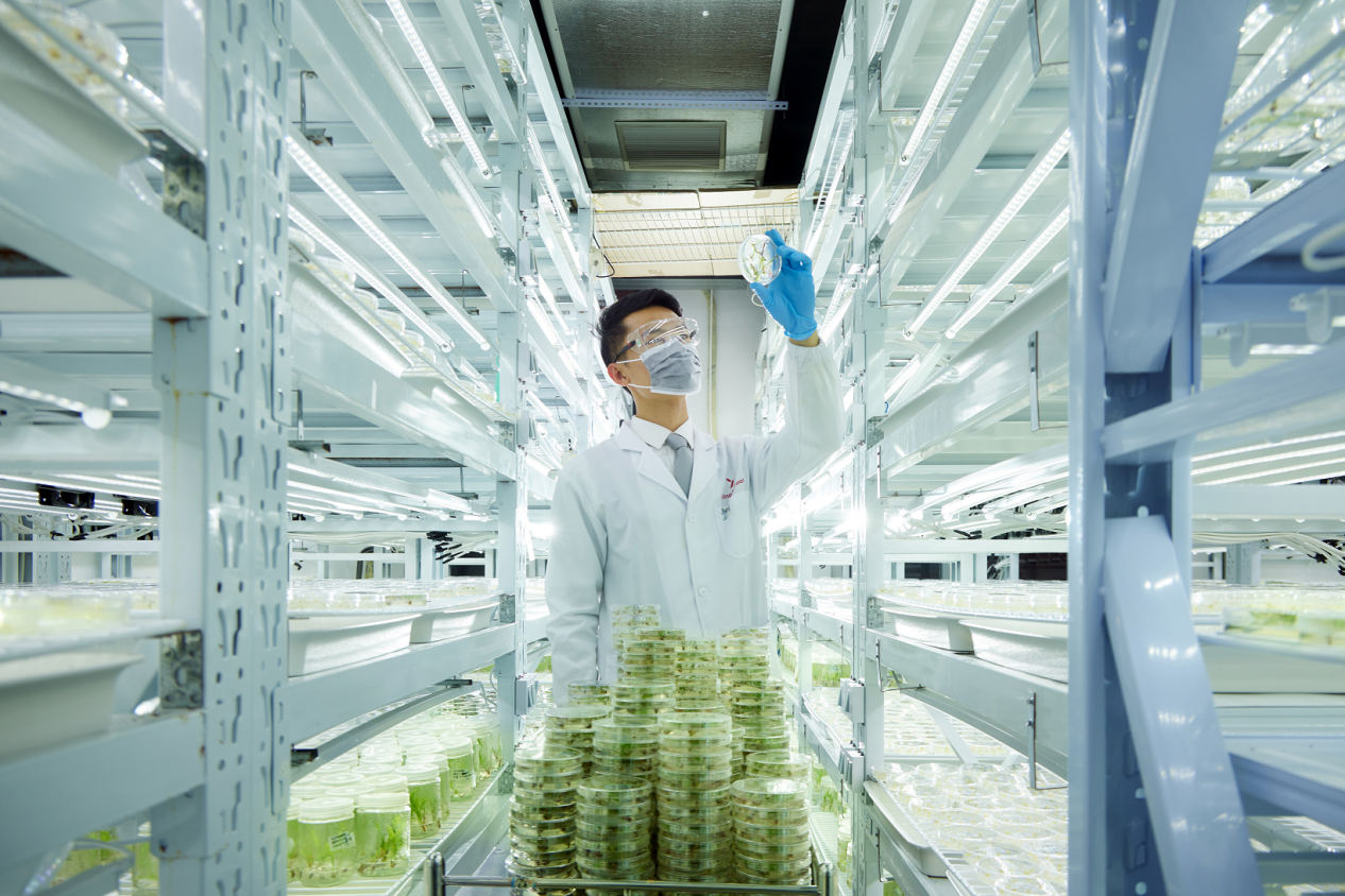 中国智慧解决农业难题：新一代绿色除草技术形成体系(图1)