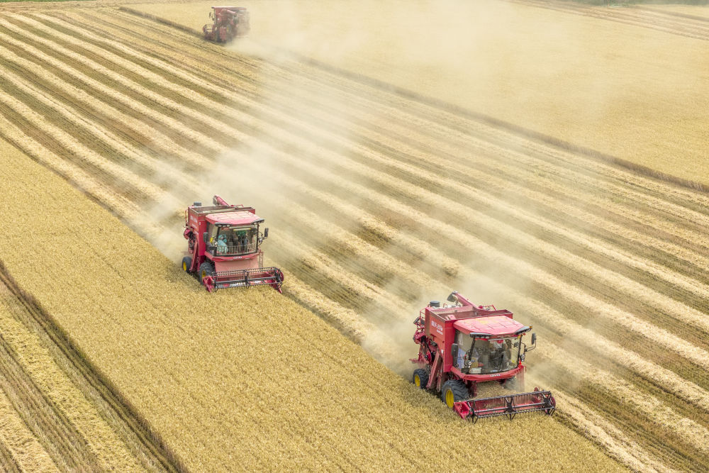 筑牢发展安全根基 守住风险防控底线——解码中国经济稳健前行的底气(图3) 筑牢发展安全根基 守住风险防控底线——解码中国经济稳健前行的底气(图3)