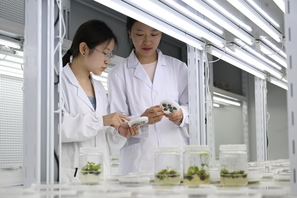 筑牢发展安全根基 守住风险防控底线——解码中国经济稳健前行的底气(图4) 筑牢发展安全根基 守住风险防控底线——解码中国经济稳健前行的底气(图4)