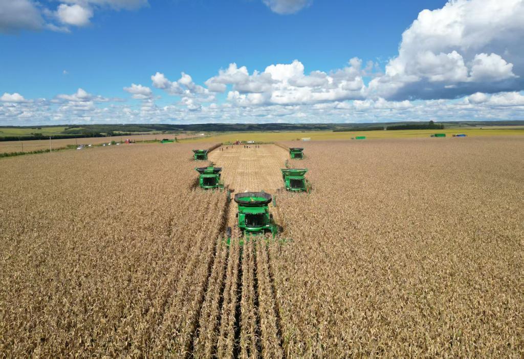 我国最大垦区北大荒集团粮食总产463.14亿斤 实现“二十二连丰”(图1) 我国最大垦区北大荒集团粮食总产463.14亿斤 实现“二十二连丰”(图1)