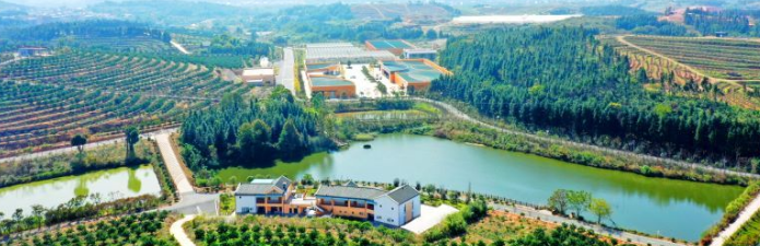 江西赣州：赣南脐橙装上“数字芯” 一颗橙子的智慧旅程(图3)