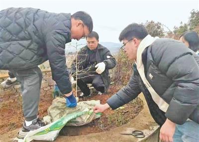 科技小院，扎根乡土茁壮生长(图2)