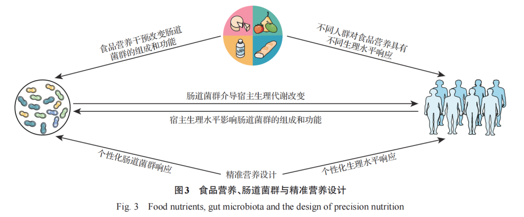 食品科学视角下的肠道微生物组与精准营养研究进展(图3)