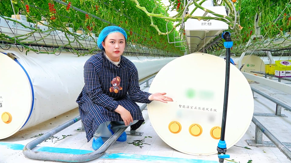 解锁雄安智慧农业的“隐藏技能”(图2)