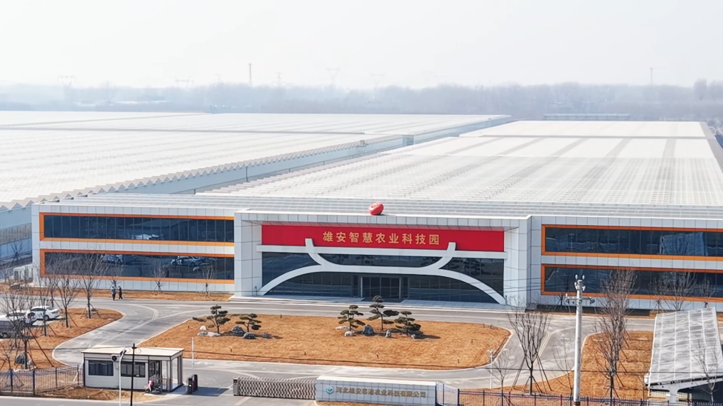 解锁雄安智慧农业的“隐藏技能”(图3)